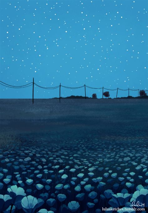 Field Night Meadow Drawing, Laura Price, Sony Animation, Environment Drawing, Tulip Drawing, Marvel Animation, Inspirational Illustration, Grass Field, Night Landscape