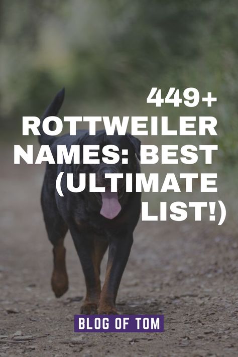 Rottweiler names can reflect the distinct personality and heritage of this beloved breed. With their strong presence and loyal nature, finding the perfect name for your Rottweiler puppy is essential in showcasing their unique characteristics. Rottweiler Dog Names, Male Dog Names Unique, Puppies Names Female, Rottweiler Names, Puppy Announcement, Italian Dogs, Badass Names, Dog Names Unique, German Rottweiler