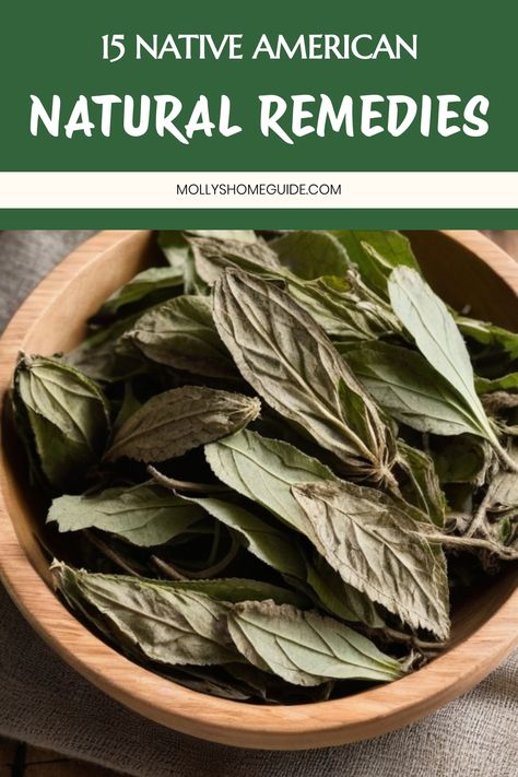 Discover the rich tradition of Native American medicinal herbs with our collection of herbal remedies and healing plants. Explore the ancient practice of Indian Herbalogy in North America, incorporating sacred herbs for their powerful natural benefits. Learn about traditional Native American Herbal Medicine and the art of using herbs for various health remedies. From indigenous recipes to traditional healing practices, delve into the world of Native American Herbs and Remedies passed down throug Indigenous Recipes, Native American Remedies, Indigenous Medicine, Native American Herbs, Medicinal Herbs Remedies, Herbs Remedies, Native American Medicine, Sacred Herbs, Indian Medicine