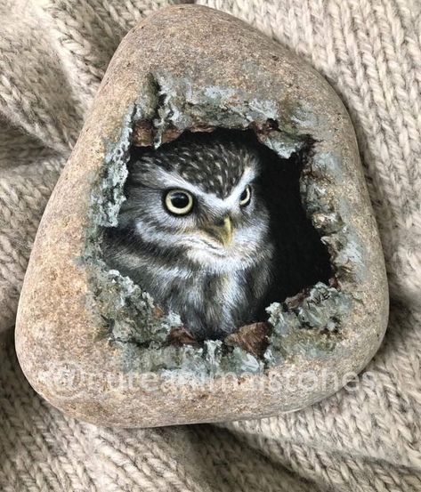 Painting Cute Animals, Owl Rocks, Painted Owl, Owl Home Decor, Painting Cute, Painted Rock Animals, Art Pierre, Stone Art Painting, Painted Rocks Diy