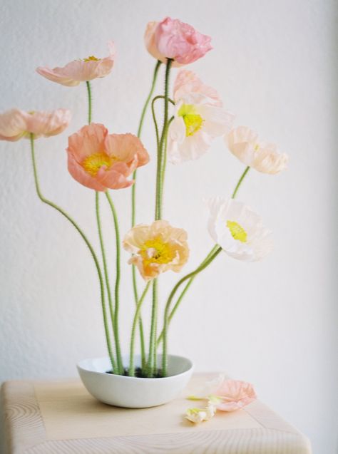 Italian Bred Icelandic Poppies — January + June — farmer florist in Clovis, CA Frog Pin Arrangement, Spring Floral Arrangements Centerpieces, Frog Flower Arrangement, Bridal Era, Ikebana Arrangement, Clovis California, Poppy Decor, Icelandic Poppies, Poppy Bouquet