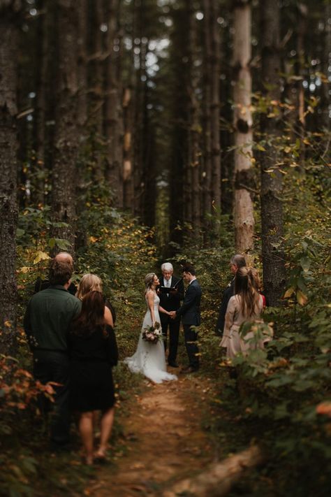 Check the blog for our spotlight interview with Cody & Allison | Image by Cody & Allison Small Woodland Wedding, Small Wedding In The Woods, Eloping Photos, Dnd Room, Forest Wedding Ceremony, Asheville Elopement, Folk Wedding, Redwood Wedding, Forest Theme Wedding