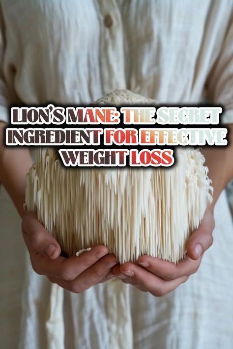 Unlock the weight loss potential of Lion's Mane, a remarkable mushroom gaining recognition for its unique benefits.  Discover how this potent ingredient can supercharge your metabolism and be your ally on the path to a healthier weight. Lions Mane Mushroom Benefits, Mushrooms Benefits, Chaga Mushroom Benefits, Lions Mane Benefits, Adaptogenic Mushrooms, Saffron Benefits, Lion's Mane Mushroom, Infrarot Sauna, Mushroom Benefits