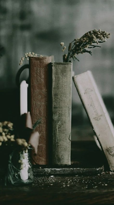 Green Academia Aesthetic, Green Academia, Book Flowers, Book Wallpaper, Pretty Landscapes, Green Witch, Fantasy Aesthetic, Old Books, Green Aesthetic