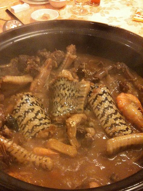 Snake stew... perfect  for an autumn Sunday  supper with fresh & crusty French bread Snake Eating Snake, Corn Snake Pet Aesthetic, Crusty French Bread, Best Dinner, Cool Kid, Recipes For Dinner, Sunday Suppers, Ramadan Quotes, Cowboy Outfits