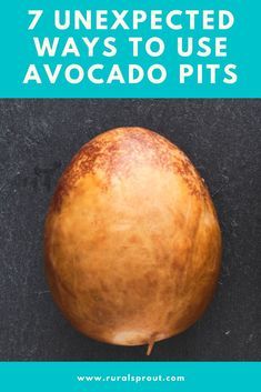 Who knew you could do so much with the seed of an avocado? Avocado Seed Tea Benefits, What To Do With Avocado Seeds, Avocado Seed Tea, Avocado Seed And Rubbing Alcohol, Avacado Seed, Planting An Avocado Seed, What To Do With An Avocado Seed, Avocado Seed Uses, Avocado Seed And Alcohol For Pain