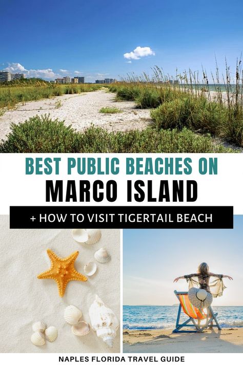 Marco Island Florida Things To Do, Best Shelling Beaches In Florida, Beach Trip Packing, Tigertail Beach Marco Island, Marco Island Beach, Casperson Beach Florida, Marco Island Florida, Venice Florida, Florida Travel Guide