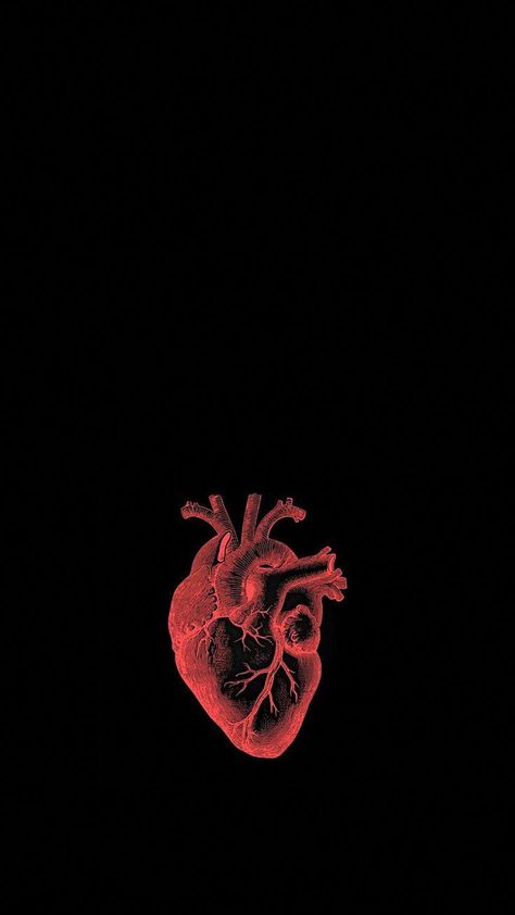 CARDIOLOGY #HealthyFoodHealthyLife Anatomical Heart Wallpaper Iphone, Heart Anatomy Wallpaper Iphone, Biological Heart Wallpaper, Anatomical Heart Background, Anatomic Heart Wallpaper, Cardiac Surgeon Wallpaper, Physiology Aesthetic Wallpaper, Cardiology Aesthetic Wallpaper, Anatomy Heart Wallpaper