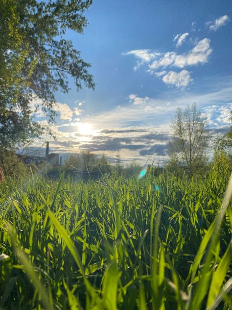 Summer field, you can't imagine better Summer Grass Aesthetic, Green Field Aesthetic, Green Grass Aesthetic, Bright Green Aesthetic, April Vibes, Frozen Aesthetic, Mind Movie, Summer Fields, Summer Field