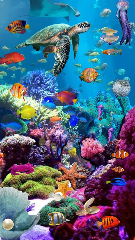 #sealife #underthesea Sea Animal Pictures Ocean Life, Beautiful Sea Creatures Ocean Life, Under Sea Wallpaper, Sea World Wallpaper, Under Sea Drawing, Under Water Aesthetic, Under The Sea Photography, Underwater Sea Life Aesthetic, Marine Life Photography Underwater