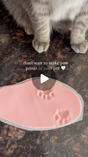 Liam (clingy cat) & Julia on Instagram: "easy paw print DIY 🐾 recipe by @the.fantastic.furr - check out their page for all the instructions! 💗

would you try this?

#pawprints #catlover #catsofinstagram #cutecat #petDIY #DIY #petcraft #orangecat #catenrichment" Cat Prints Paw, Paw Print Dough Recipe, Cat Paw Prints Art, Diy Gifts For Pet Lovers, Pet Paw Print Art Diy, Diy Dog Paw Print, Cat Paw Print Art, Paw Print Diy, Paw Print Art Diy