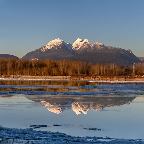 frozen ice fraser river winter golden ears langley british columbia Fraser River, Fraser Valley, Fine Art Landscape, Photography Gallery, Scenic Landscape, Rocky Mountains, Pacific Northwest, British Columbia, The Golden