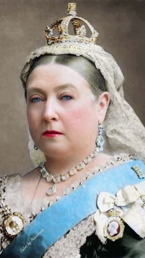 Queen Victoria And Prince Albert, Queen Victoria Family, Queen Victoria Prince Albert, Royal Family Trees, Royal Family Pictures, Victoria Prince, English Royal Family, Royal Portraits, Royal Family England