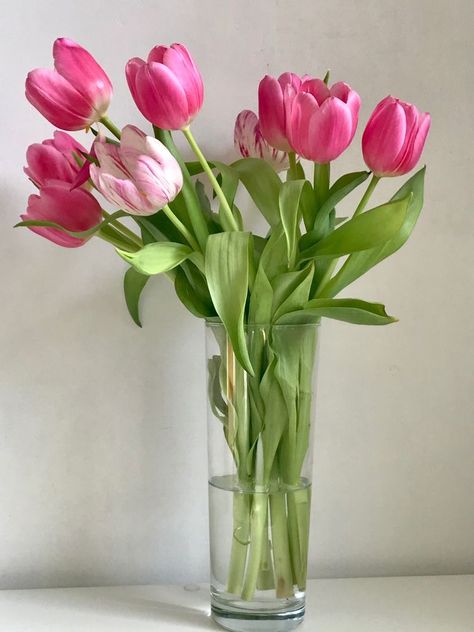 Tulip Flower Photography, Vintage Flowers Wallpaper, Flowers Photography Wallpaper, Tulips In Vase, Nothing But Flowers, Flower Shower, Flower Therapy, Pretty Plants, Pink Tulips