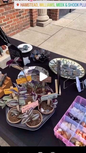 16 likes, 0 comments - sweetcreaturecrystals on February 20, 2024: "✨🌿💗More cute arts walks clips! 💗🌿✨ ✨Guys I miss vendor booths so much! I’m e..." Service Based Vendor Booth, Rodeo Vendor Booth Ideas, Metaphysical Vendor Booth, Pink Vendor Booth, How To Have A Successful Vendor Booth, Vendor Booth, Art Walk, I Missed, Cute Art