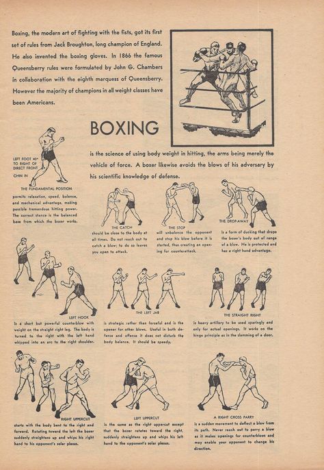 Boxing Anatomy, Sports Boys Bedroom, 1940s Illustration, Arrow Workout, Wrestling Workout, Boxer Workout, Krav Maga Kids, Ekko League Of Legends, Men Decor