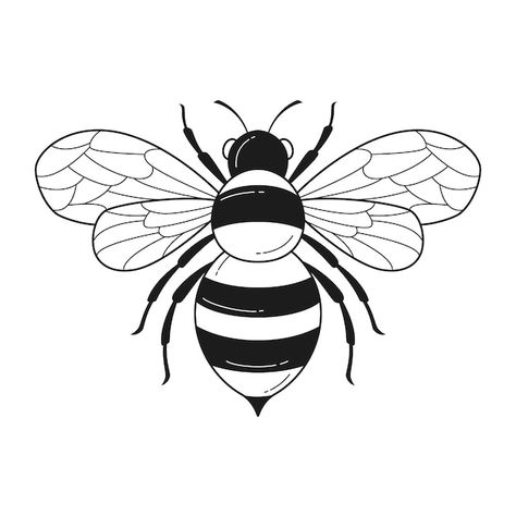 Bee Outline, Bee Template, Bee Sketch, Bee Svg, Bee Images, Bee Drawing, Bee Coloring Pages, Bee Illustration, Outline Illustration