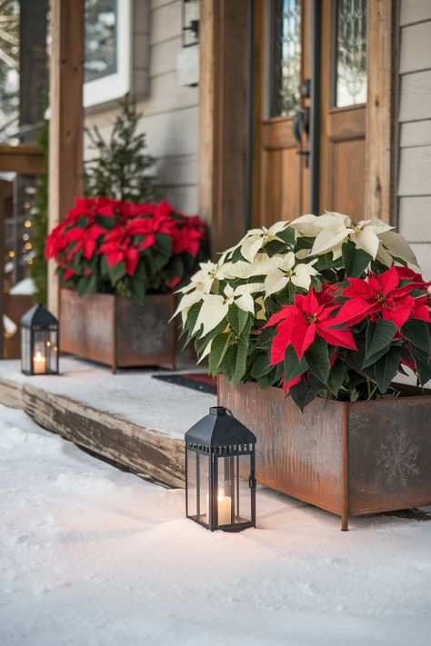 Poinsettia Front Porch, Christmas Urns Front Porch, Reindeer Sculpture, Pretty Porches, Santa Mailbox, Christmas Urns, White Poinsettia, Porch Windows, Rustic Lanterns