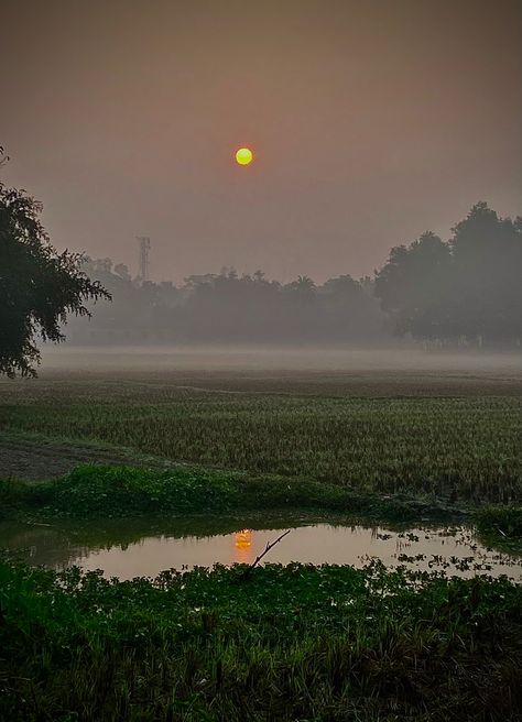 Foggy Morning Videos, Village Aesthetic Indian, Indian Village Aesthetic, Foggy Village, Village Morning, Pond Video, Desi Aesthetics, Barbara Eden, Village Photography