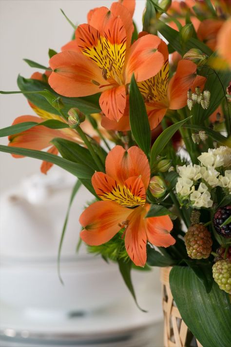 Alstroemeria Party. Orange Alstroemeria, Alstroemeria Bouquet, Peruvian Lilies, Boquette Flowers, Flower Therapy, Floral Color, Sugar Flowers, Floral Centerpieces, Love Flowers