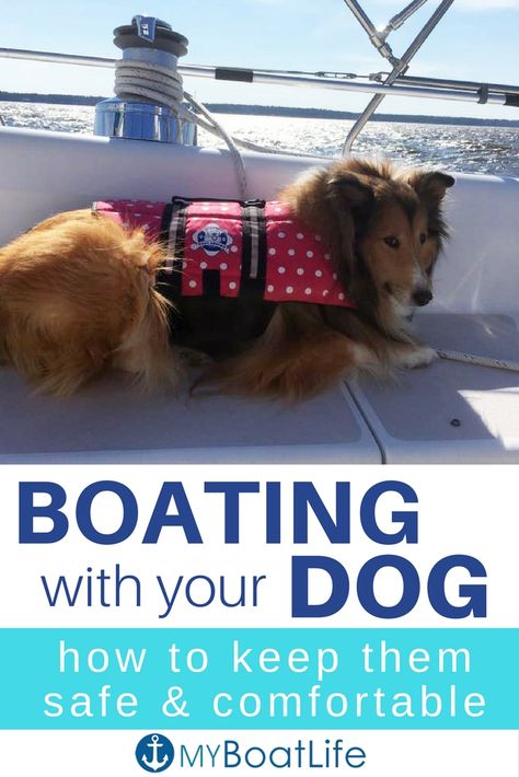 Dog boat safety is more than just doggy life jackets - Here are ideas to keep dogs safe & comfortable on your boat. #boats #boatlife #boating #boatdogs #boatingdogs #sailing Dogs On Boats, Boat Organization, Pontoon Boat Accessories, Boating Tips, Lake Fun, Are Ideas, Ski Boats, Life Jackets, Boat Safety