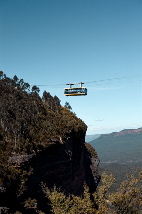 A great way to truly immerse yourself into the beauty of The Blue Mountains is by visiting Scenic world, a place that can be found nowhere else on Earth! Boasting sweeping views of iconic landmarks, the worlds steepest railway, scenic skyway and boarded rainforest floor, this is an incredible way of exploring the iconic Blue Mountains. Scenic World Blue Mountains, Rainforest Floor, Blue Mountains Australia, Nature Magic, The Blue Mountains, Blue Mountains, 2025 Vision, Blue Mountain, Iconic Landmarks