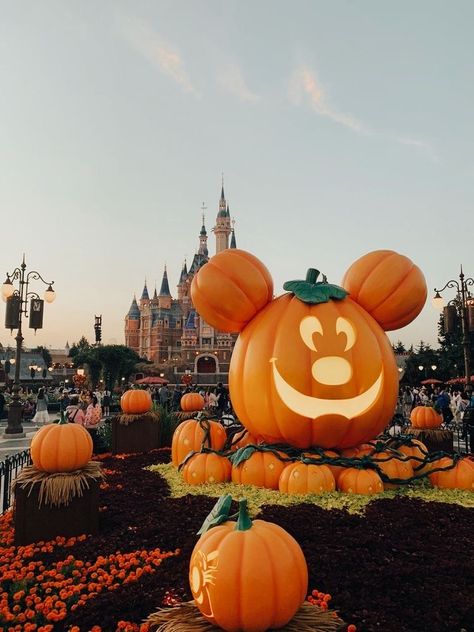 disney halloween Disney Paris Halloween, Disney Halloween Aesthetic Wallpaper, October Widgets Aesthetic, Disney Autumn Wallpaper, Disney Fall Aesthetic, Disneyland Halloween Aesthetic, Halloween Pictures Aesthetic, Halloween Preppy, Disney World Aesthetic