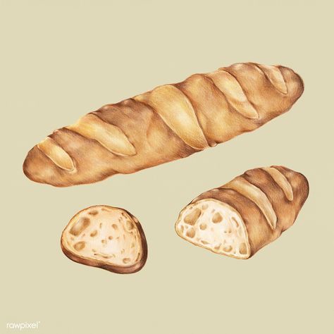 Freshly baked baguette hand-drawn illustration | premium image by rawpixel.com Bread Wheat, Vintage Bakery, Baguette Bread, Coffee Cup Art, French Baguette, Brown Bread, Kitchen Corner, Food Illustration, Fresh Bread