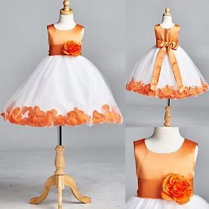 Rose Petal Dress, Fall Flower Girl Dresses, Girls Formal Wear, Summer Halloween, Coral Rose, Tulle Flower Girl, Birthday Girl Dress, Fall Wedding Flowers, Orange Wedding