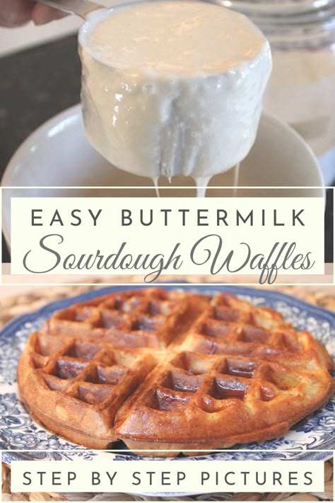 Buttermilk Sourdough, Sourdough Buttermilk, Sourdough Waffle Recipe, Easy Sourdough Starter, Benefits Of Fermented Foods, Buttermilk Waffles Recipe, Sourdough Waffles, Fermented Foods Benefits, Buttermilk Waffles