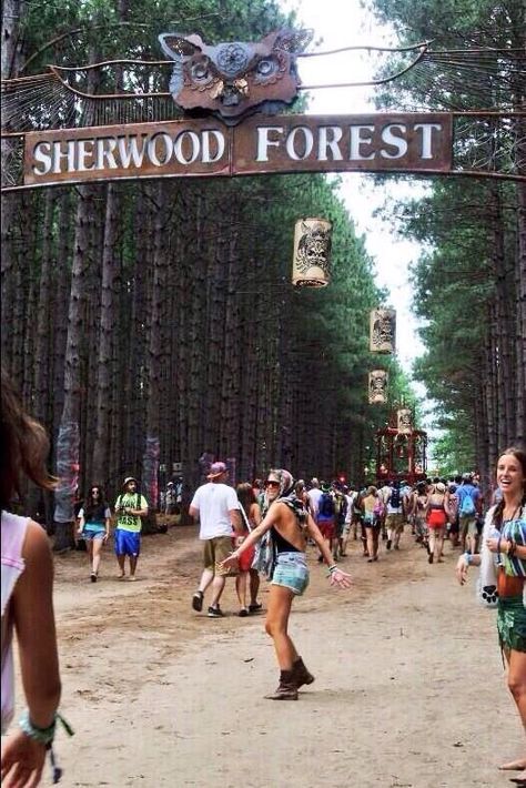 ᴘɪɴᴛᴇʀᴇsᴛ↠ᴄʟᴇᴏᴅᴀʟʟᴀs  ɪɴsᴛᴀ↠_ᴄʟᴇᴏᴛɪʟʟᴍᴀɴ Forest Festival, Edm Music Festivals, Electric Forest Festival, Electric Forest, Sherwood Forest, Electric Daisy Carnival, Edm Music, Edm Festival, Rave Festival