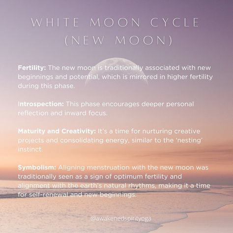 In honor of the new moon 🌙♍️ the cycles of our bodies mirror the cycles of the earth 🪞🌎it's alllll connected. Which moon cycle are you in sync or closest with right now? Understanding these alignments can offer insightful perspectives into how natural rhythms potentially influence emotional, physical, and spiritual well-being. This is an interesting concept that you could incorporate into one of your prenatal/postnatal yoga classes or doula work! 🩵 ✨✨PS don't forget about 20% off tuition... White Moon Cycle Period, White Moon Cycle, Cycle Period, Period Tips, Postnatal Yoga, Period Hacks, Moon Cycle, White Moon, Moon Cycles