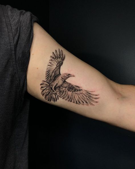 Eagle Tattoo Inner Bicep, Lotr Eagles Tattoo, Eagle Bicep Tattoo, Inner Biceps Tattoo, Tattoo Inside Bicep, Eagle Tattoo For Women Feminine, Tattoo Inner Bicep, Inside Bicep Tattoo, Falcon Tattoo