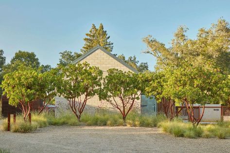 The Four-Season Garden: An Enchanting Indoor/Outdoor Landscape in Sonoma County by Terremoto - Gardenista Arbutus Marina, Indoor Outdoor Space, White Pink Flowers, Strawberry Tree, Stone Pathway, Outdoor Landscape, Garden Pathway, Public Garden, Flowers Bloom