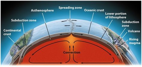 Convection currents in the mantle cause oceanic plates to spread apart as new rock rises to the surface at spreading zones. Convection Currents In The Mantle, Mantle Convection, Earth Layers Project, Earth Systems, Convection Currents, Earth's Spheres, Subduction Zone, Earth Layers, Earth's Mantle