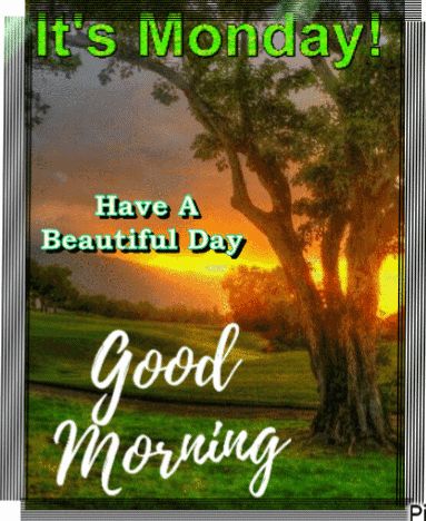 Good Morning Happy Monday Gif, Monday Morning Gif, Good Morning Monday Gif, Happy Monday Gif, Monday Gif, Monday Morning Greetings, Memory Quotes, Good Morning Monday, In Loving Memory Quotes