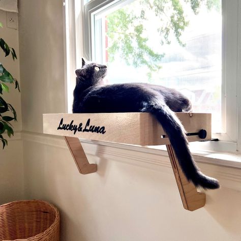 23 X 10 Personalized Cat Window Perch Cat Bed - Etsy Cat Bench Window Seats, Window Seat For Cats, Cat Window Box Diy, Diy Cat Window Perch, Cat Window Seat, Window Boxes Diy, Cat Area, Window Shelf, Cat Window Perch