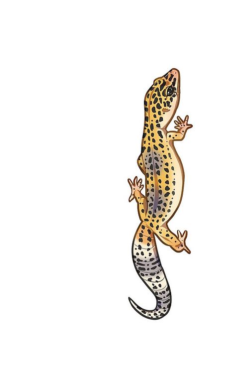 la salamandre (aquarelle watercolor) ზ Leopard Gecko Tattoo Ideas, Leopard Gecko Outline, Small Leopard Gecko Tattoo, Leopard Gecko Tattoo Design, Leopard Gecko Tattoo Simple, Leopard Gecko Wallpaper, Cute Gecko Drawing, Leopard Gecko Drawing, Watercolor Gecko