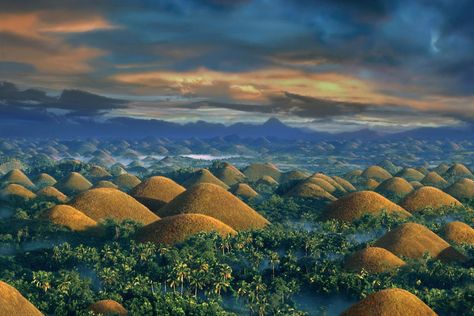 Bohol Chocolate Hills, Chocolate Hills, Bohol Philippines, Philippines Culture, Morning View, Bohol, Philippines Travel, Palawan, National Monuments