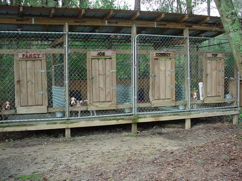 Hunting Beagle, Kennel Plans, Dog Kennel Ideas, Dog Kennel Flooring, Dogs Beagle, Diy Hunting, Kennel Ideas Outdoor, Building A Dog Kennel, Cheap Dog Kennels