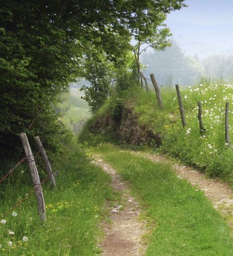 Green Field, Jolie Photo, English Countryside, Nature Aesthetic, Pretty Places, Green Aesthetic, Landscape Photos, Country Life, Nature Pictures