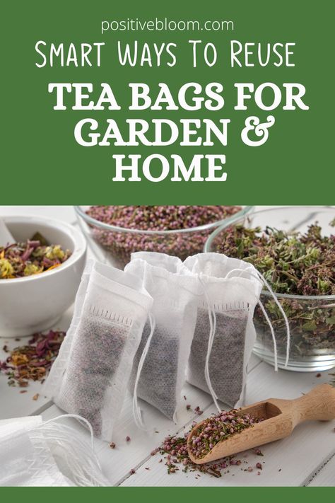 Check out this article to see 29 useful and creative ways that you can reuse tea bags inst ead of simply tossing them into the garbage! How To Treat Sunburn, Used Tea Bags, Black Tea Bags, Gardening 101, Bug Bites, Smell Fresh, Brewing Tea, Fire Starters, Tea Bags