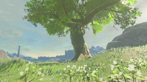 Hyrule Background, Ipad Background Landscape, Totk Landscapes, Zelda Botw Screenshots, Legend Of Zelda Landscape, Tears Of The Kingdom Aesthetic, Breath Of The Wild Scenery, The Legend Of Zelda Aesthetic, Breath Of The Wild Landscape