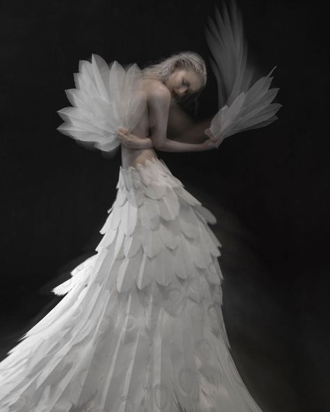 Sylph Sia on Instagram: “I truly love having the (all too rare) opportunity to work with female creatives, I only wish there were more in this industry! Here’s one…” Albino Peacock, Photo Hair, Peacock Dress, White Peacock, Peacock Art, Paper Sculpture, Inspired Dress, Portrait Photographers, Victorian Dress