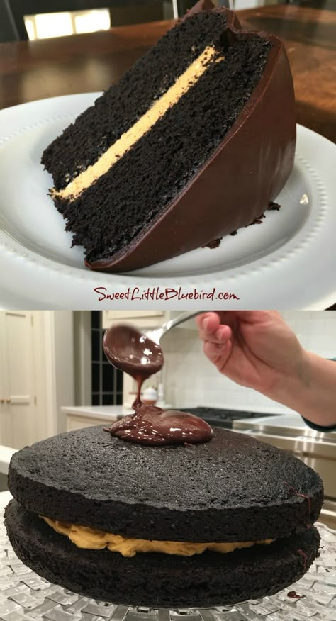 Pumpkin Mousse Cake Filling, Chocolate Cake Fall Decoration, Pumpkin Chocolate Cake Recipe, Pumpkin Filling For Cake, Easy Fall Birthday Cake Ideas, Easy Fall Cake Recipes, Chocolate Thanksgiving Cake, Cake Ideas For Thanksgiving, Chocolate Fall Cake