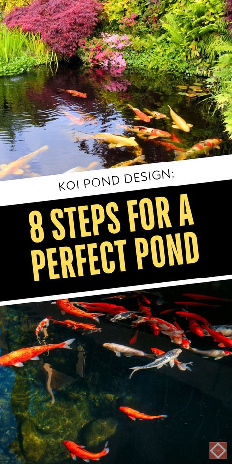 Discover how to create the ideal koi pond in 8 simple steps. From initial planning to final touches, ensure your pond meets all your needs. Save this pin for essential tips on koi pond design and construction. How To Make A Koi Pond, Koi Pond House, Koi Pond Ideas Backyard, Diy Koi Fish Pond, Diy Koi Pond Ideas, Koi Ponds Ideas, Backyard Koi Pond Ideas, Modern Koi Pond Design, Koi Pond Landscaping