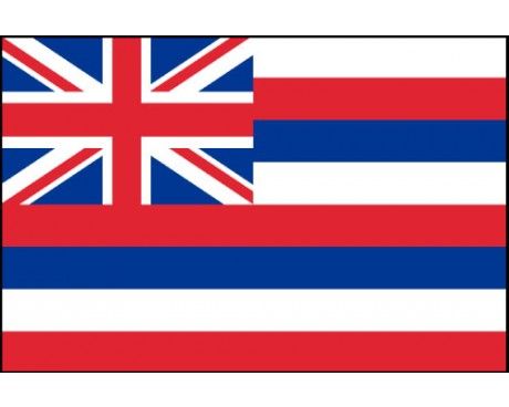 Hawaii Flag - Outdoor