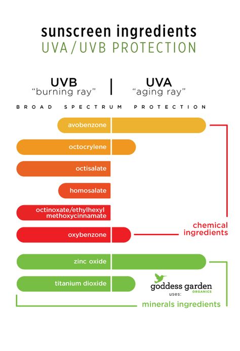 Beautycounter Sunscreen, Misery Stephen King, Sunscreen Facts, Goddess Garden, Sunscreen Ingredients, Physical Sunscreen, Baking Soda Shampoo, Horror Novel, Skin Disorders