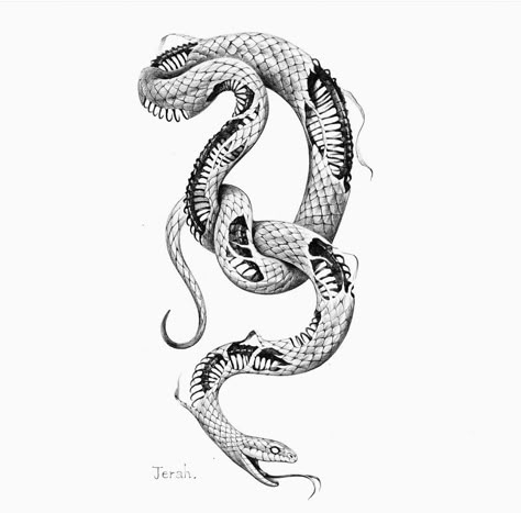 Half Snake Half Skeleton Tattoo, Snake Skeleton Tattoo Arm, Snake Tattoo Between Chest, Scary Snake Tattoo, Skeletal Snake Tattoo, Snake Skeleton Drawing, Skeleton Snake Tattoo, Basilisk Tattoo, Shedding Snake