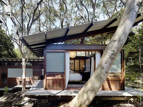 Pavilion house in Australia open to a lush landscape Richard Leplastrier, Earthen House, Japanese Houses, Wellness Studio, A Small House, Casa Container, Australian Architecture, Modern Tiny House, Timber House